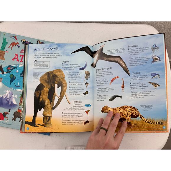 Lot of 2 Usborne Big Picture Atlas World Of Animals Encyclopedia Reference Books - Picture 6 of 11